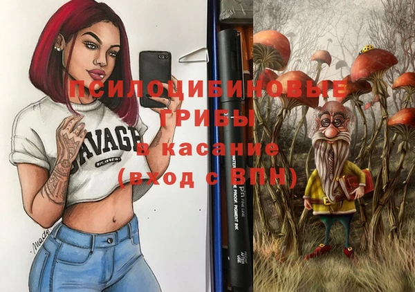 ГАЛЛЮЦИНОГЕННЫЕ ГРИБЫ Баксан